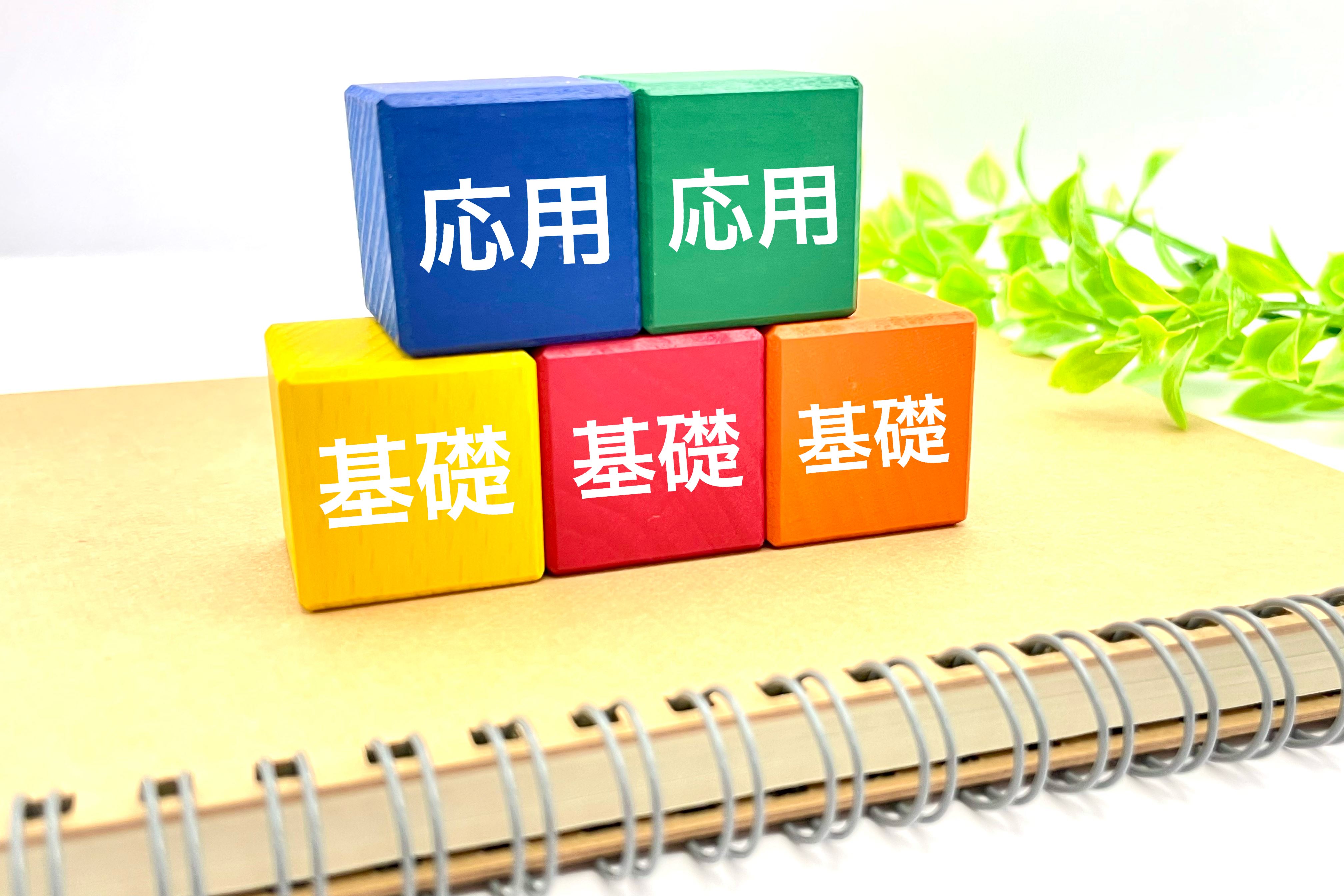 基礎固めがカギ！